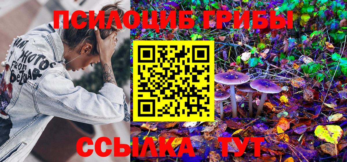 Галлюциногенные грибы Psilocybine cubensis Великий Новгород