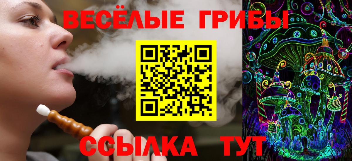 Псилоцибиновые грибы мицелий  наркотики  Великий Новгород  Вход с VPN 